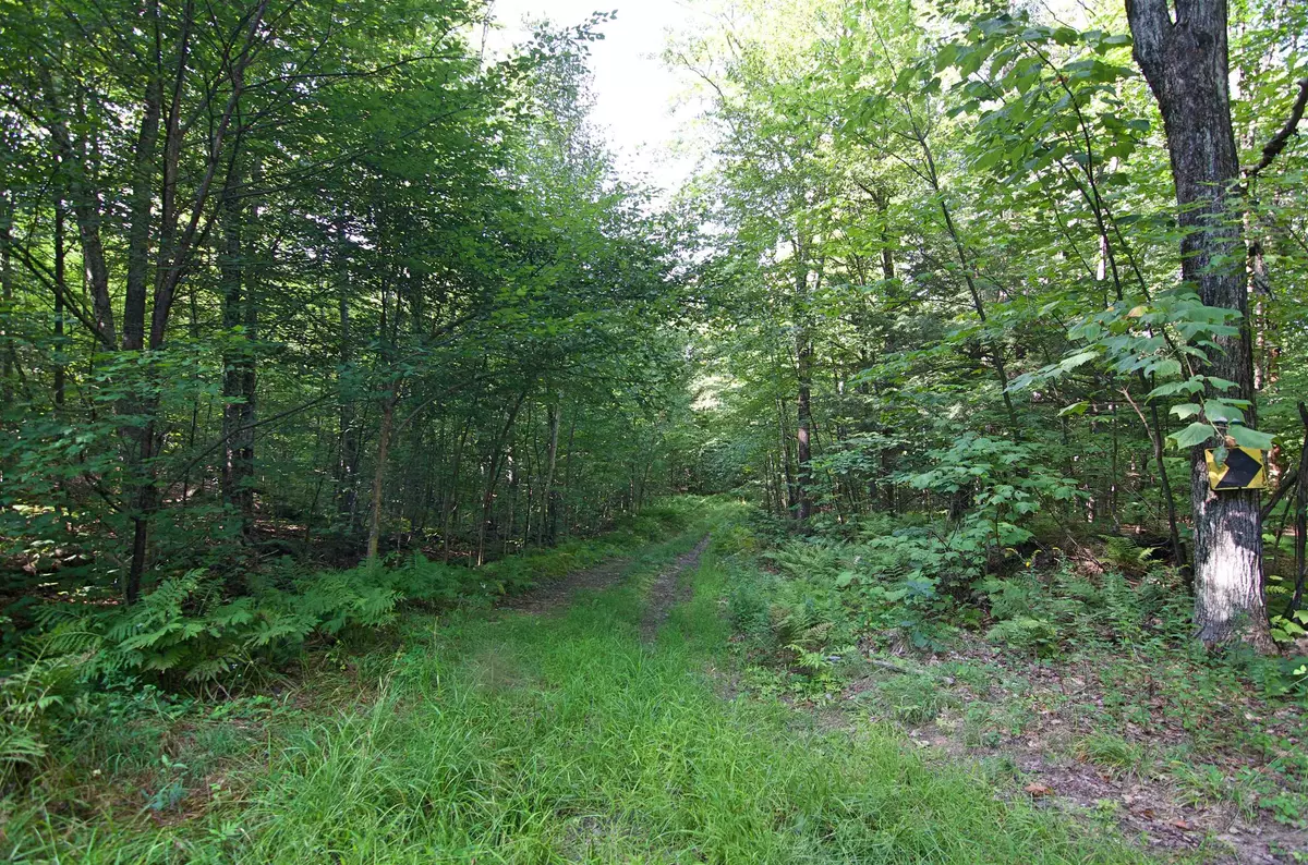 Andover, NH 03216,00 Twist Hill RD