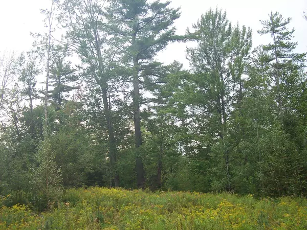 Wilmot, NH 03287-0000,52 Pound RD