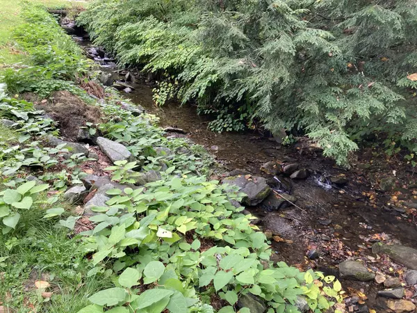 Pomfret, VT 05053,448 Bunker Hill RD