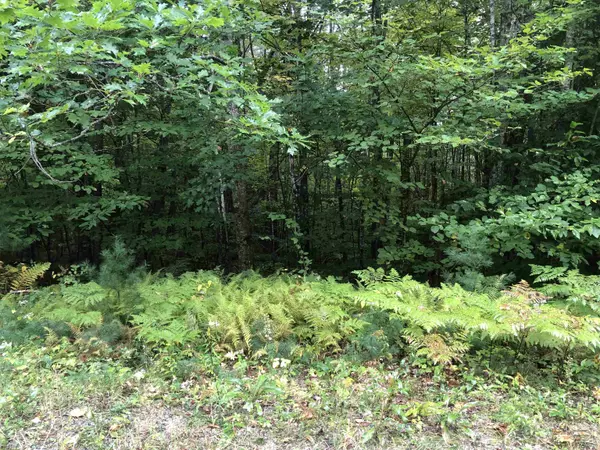 00 Richards RD #Lot 3, Newbury, NH 03255