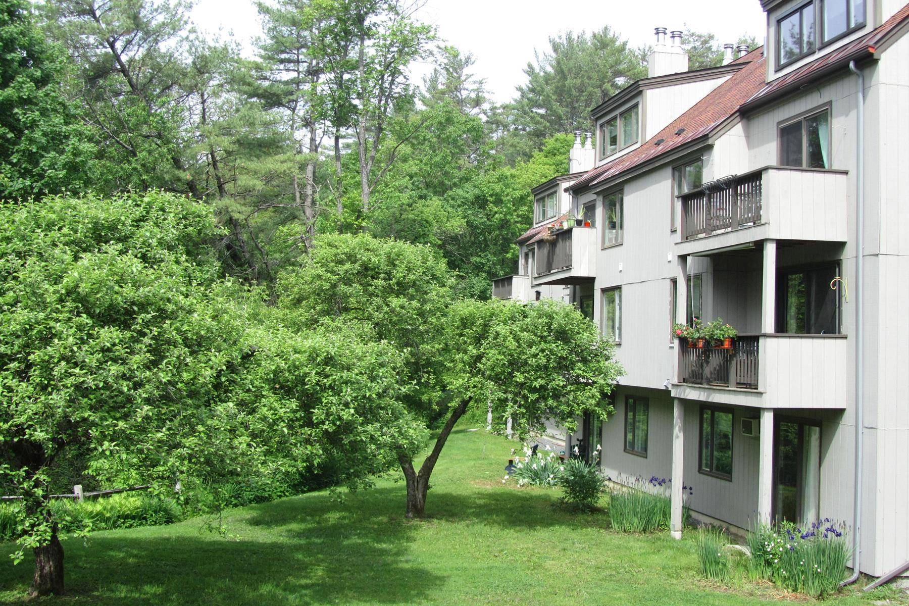 Hanover, NH 03755,207 Brook HOLW #207