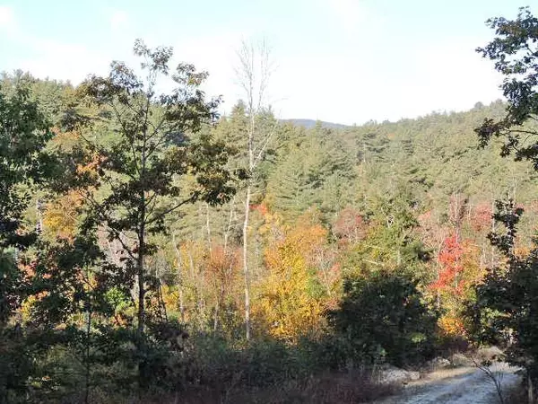 Henniker, NH 03242,1-124 Freeman Colby RD #124