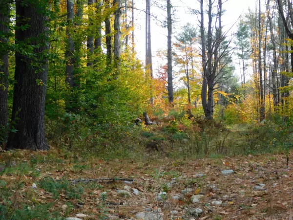 Deering, NH 03244,0 Second NH TPKE #6