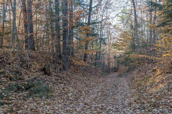 Salisbury, NH 03268,Robie RD