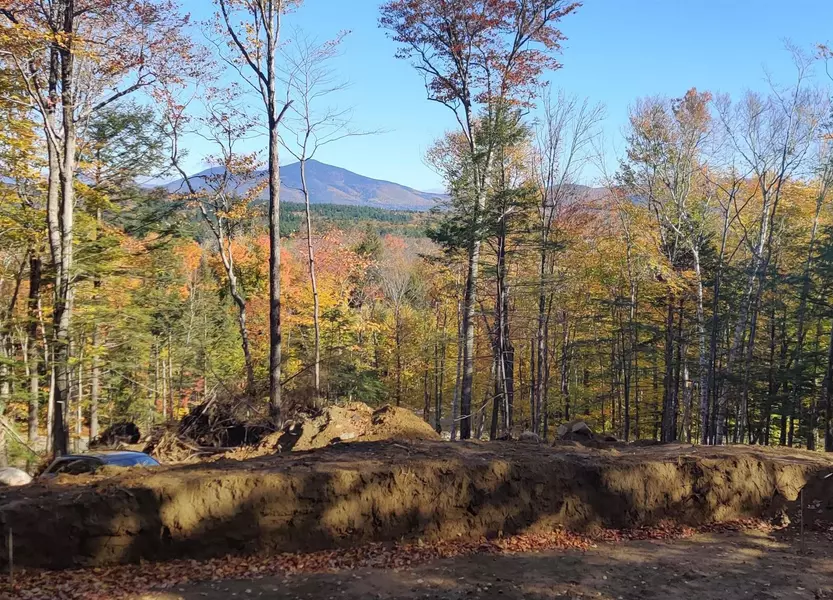 Address Not Disclosed