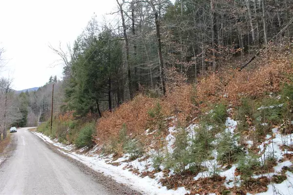 Stockbridge, VT 05772,Lot 1-25 Madison Brook LN #Lot 1-25