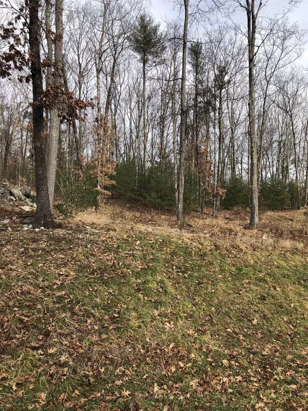 Merrimack, NH 03054,5 Whitetail RDG #4A-23-13