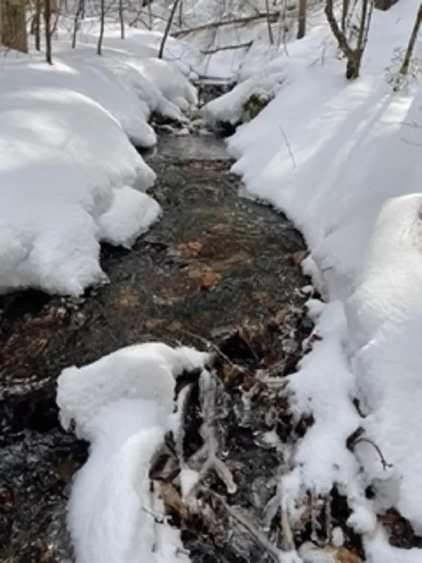 Warner, NH 03278,199 Newmarket RD