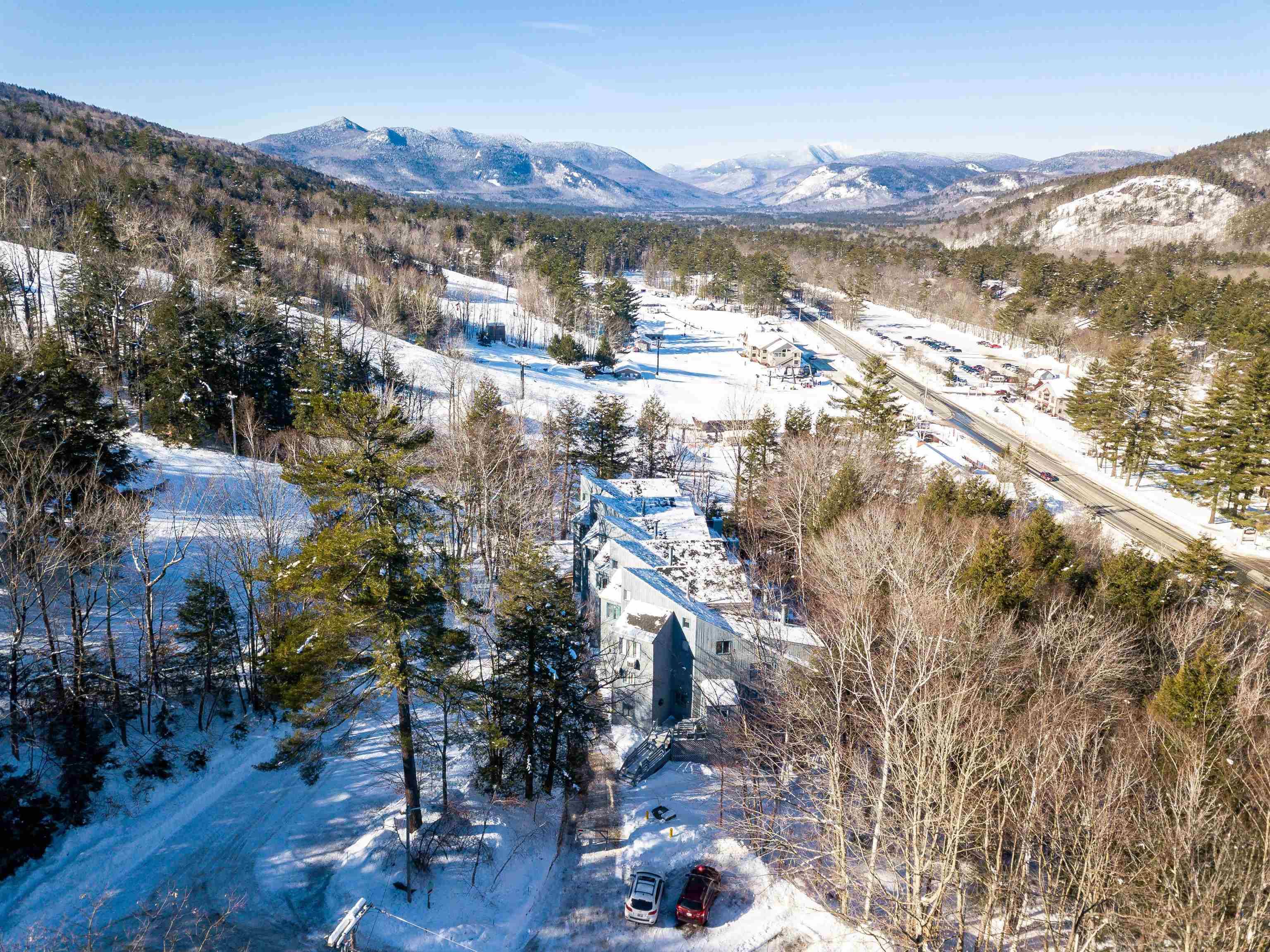 Bartlett, NH 03812,243 Cow Hill RD #10