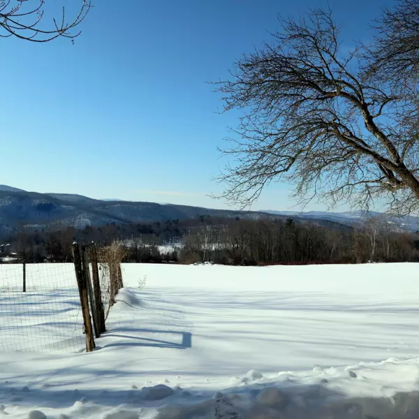 Shrewsbury, VT 05738,850 Mitchell RD