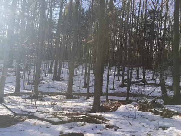 Milton, NH 03851,Lot 26 Ripley LN