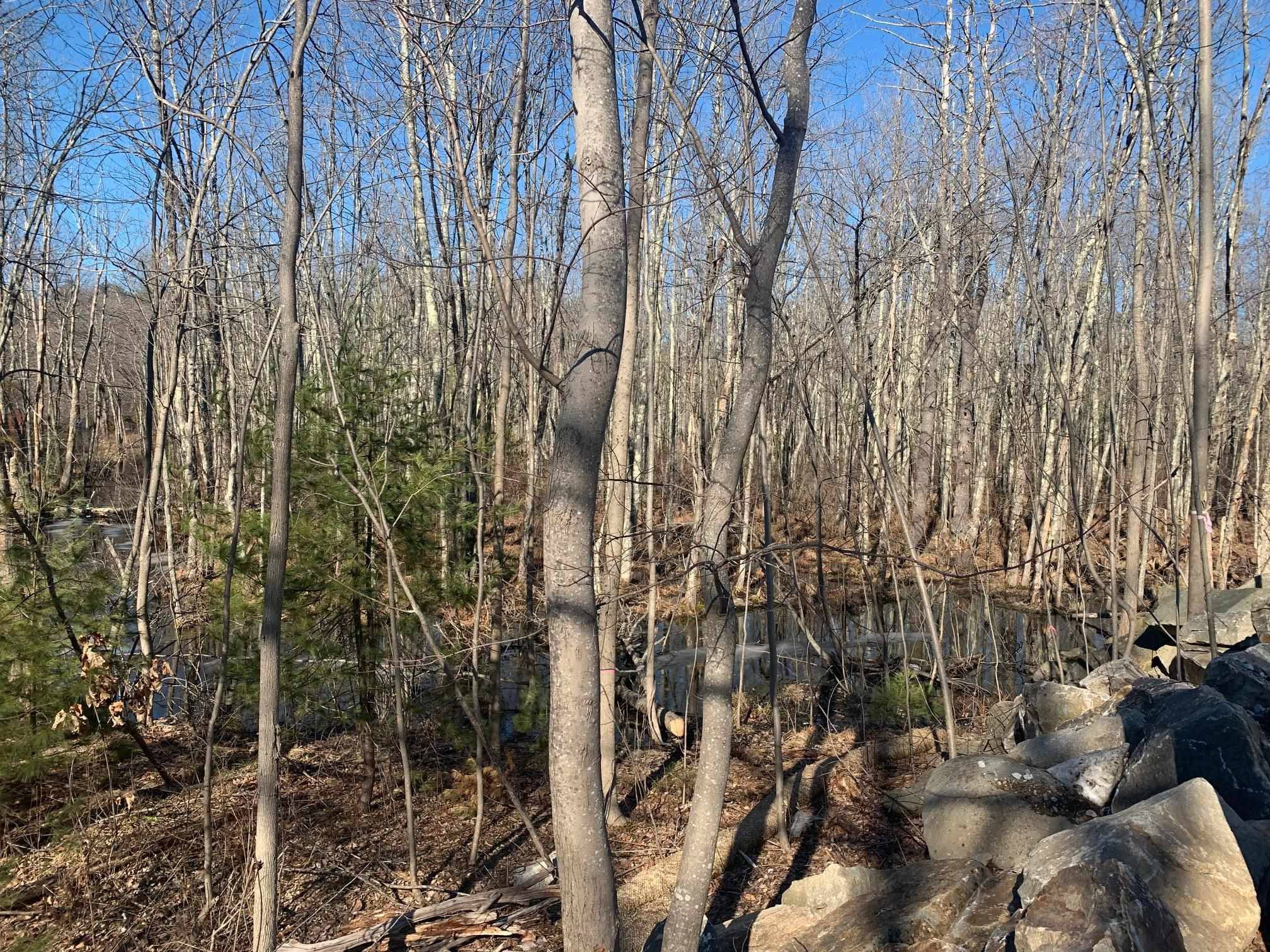 Hudson, NH 03051,151 Robinson RD