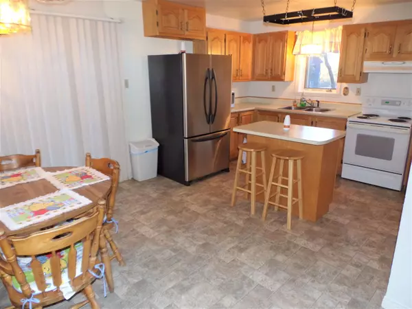 Webster, NH 03303,63 Centennial DR