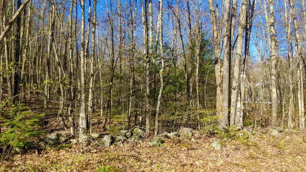 Gilmanton, NH 03237,00 Meeting House RD