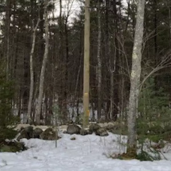 Deering, NH 03244,21 Bowen School RD