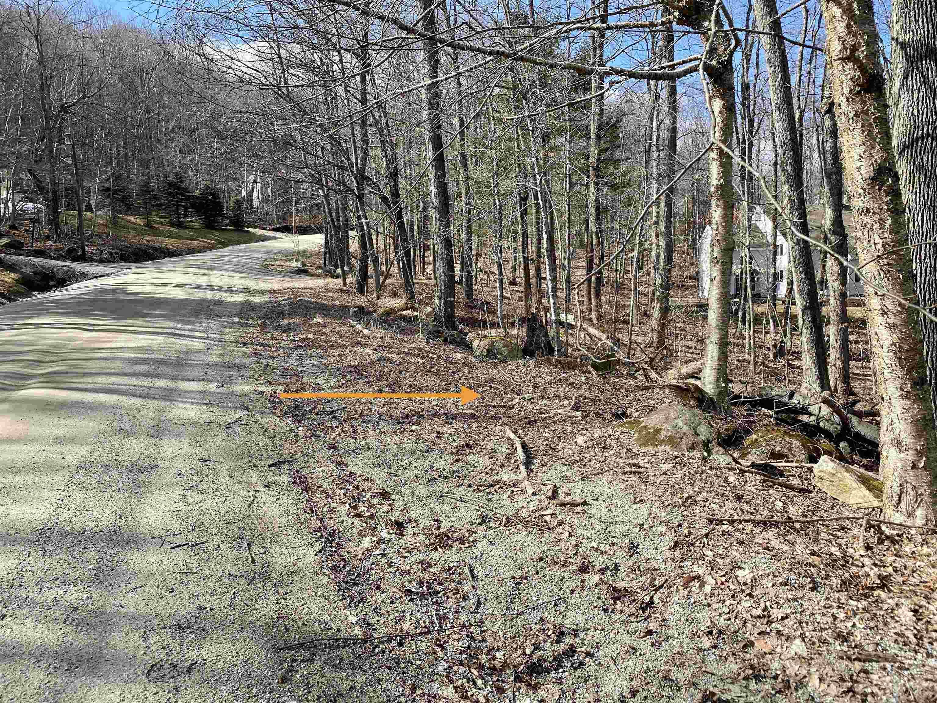 12 Windtree RD,  Winhall,  VT 05340