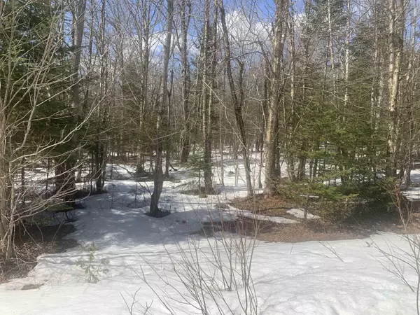 Pittsburg, NH 03592,Lot 3 Valley View DR