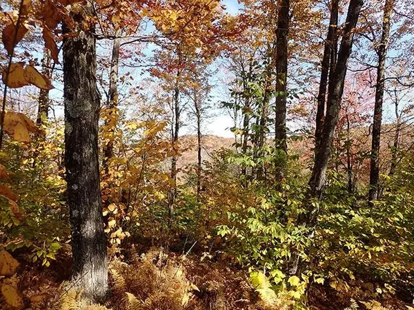 Marlboro, VT 05344,0 Route 9