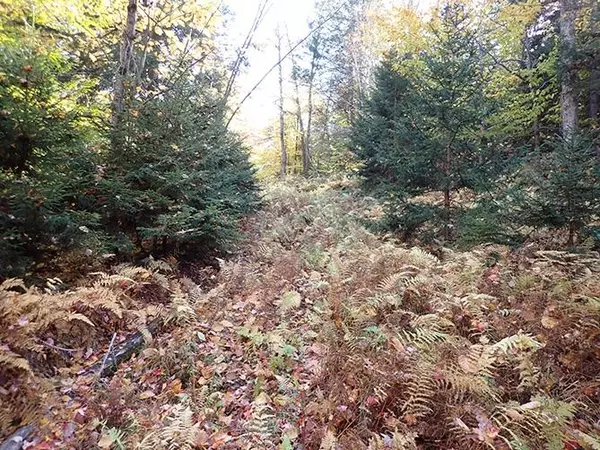 Marlboro, VT 05344,0 Route 9