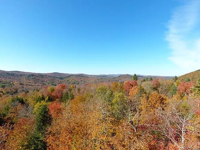 Marlboro, VT 05344,0 Route 9