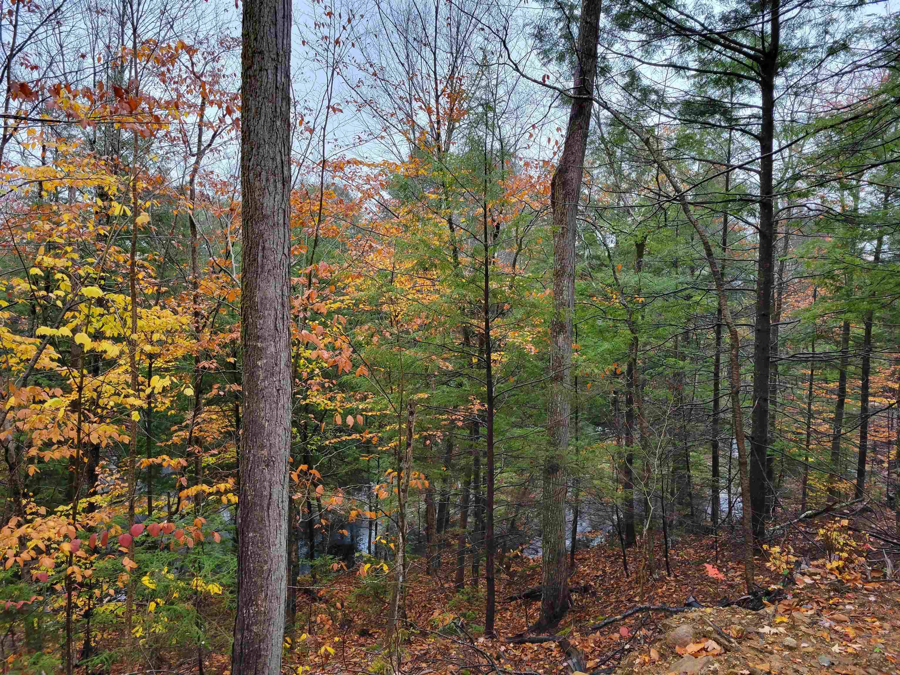 Alexandria, NH 03222,300 Lakeview HTS