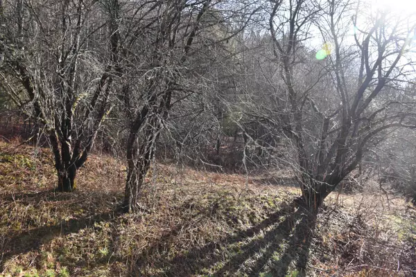 Northfield, VT 05663,108 Union Brook RD