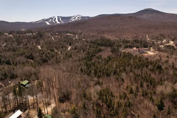 Lot #22-217B Timberline DR, Killington, VT 05751