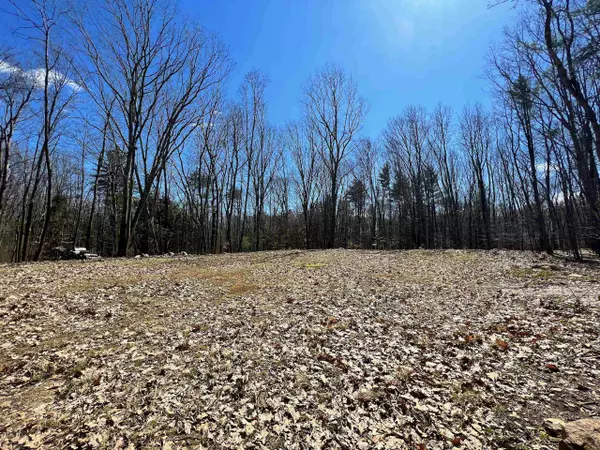 Newmarket, NH 03857,Lot 19-1 Ash Swamp RD