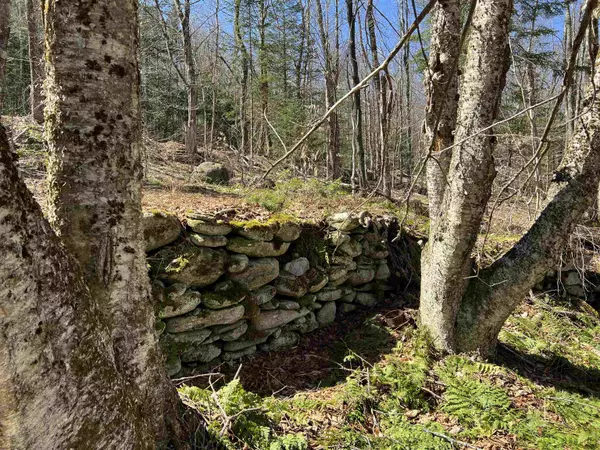 Belvidere, VT 05442,- Bog RD