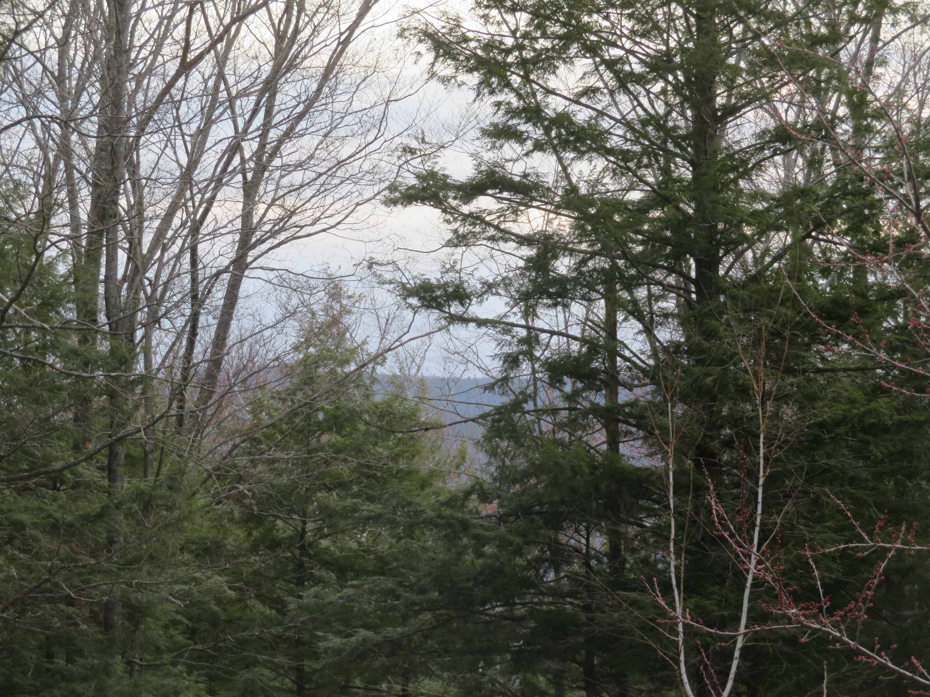 00 Ossipee Mountain RD, Moultonborough, NH 03254