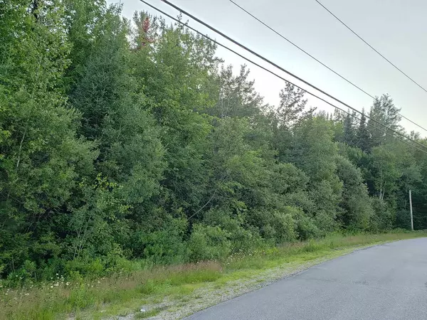 Bethlehem, NH 03574,Lot 17 Deer Run RD