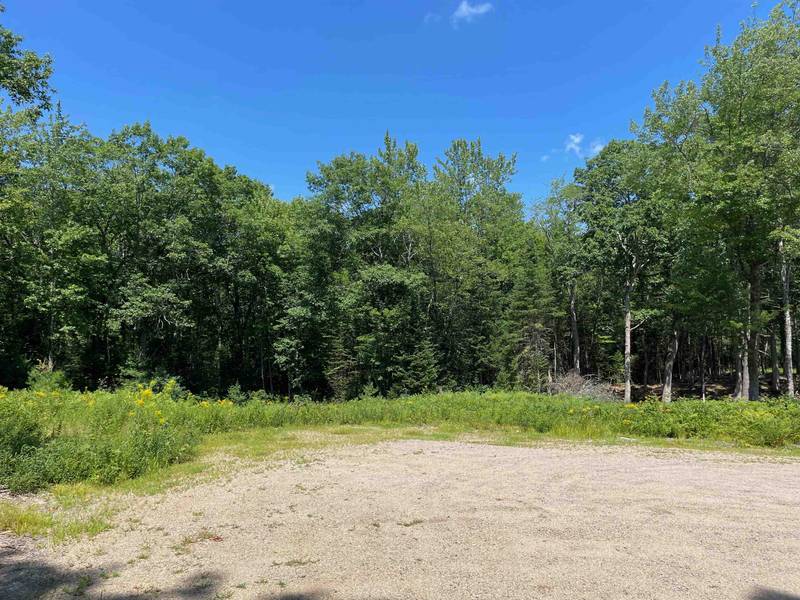 Lot 52 Remington CT, Tuftonboro, NH 03816