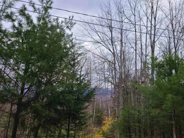 Franconia, NH 03580,Lot 30 Timber LN