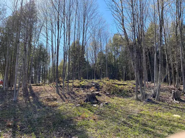 Barre Town, VT 05641,Lot 2 Goldsbury Woods RD