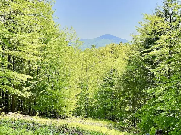 Andover, NH 03216,48 Cole Pond RD