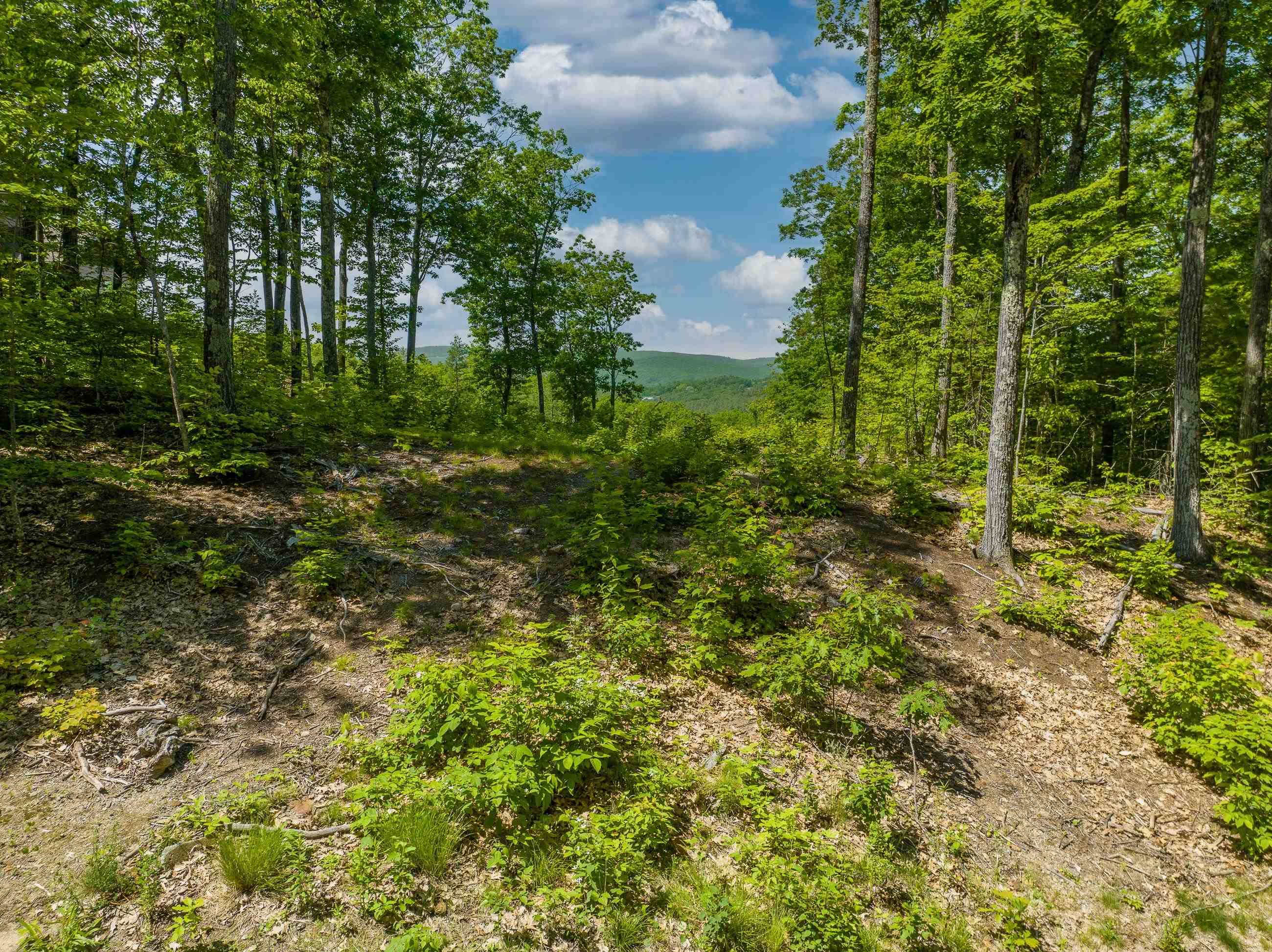 Ashland, NH 03217,12 Peaked Hill RD #12