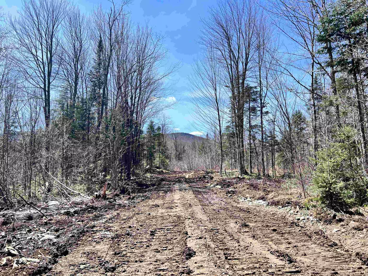 Milan, NH 03588,Lot 7 Steiss RD