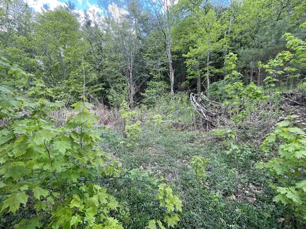 Royalton, VT 05068,1901 Royalton Hill RD