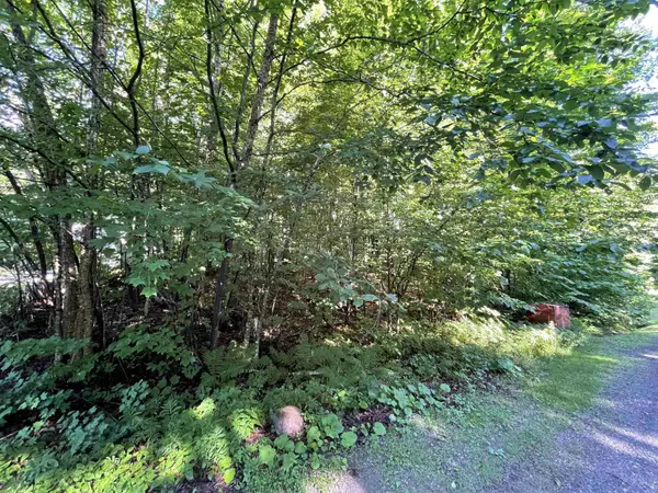 Wilmington, VT 05363,88 Lower Howes RD