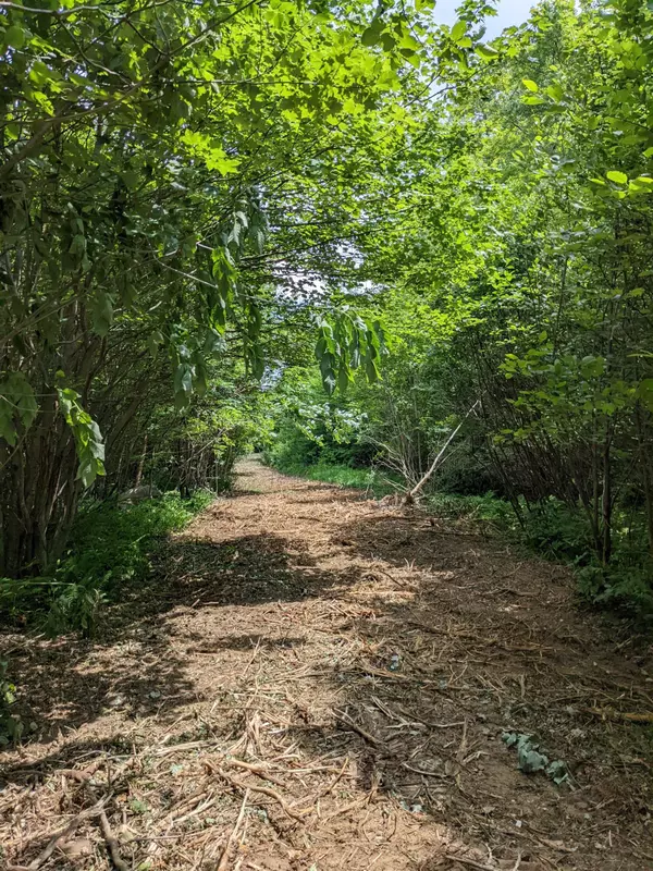 Salisbury, NH 03268,Off W Salisbury RD #7