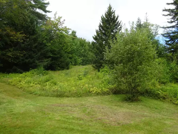 Reading, VT 05062,258 Town Farm RD