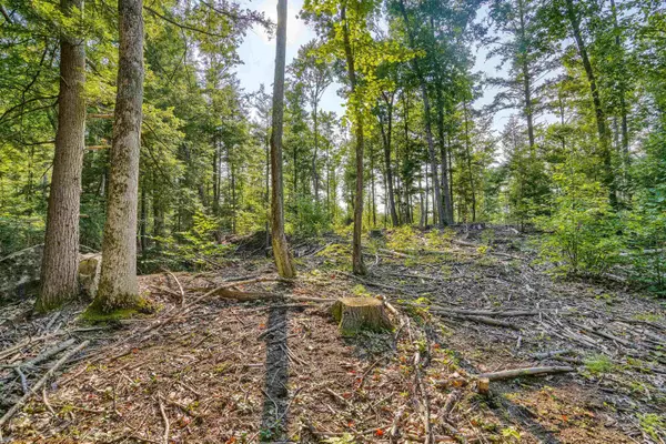 Candia, NH 03034,0 Merrill RD