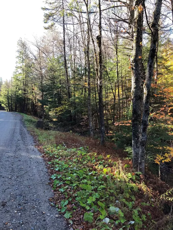 Whitingham, VT 05361,Lot 2 Parsons RD