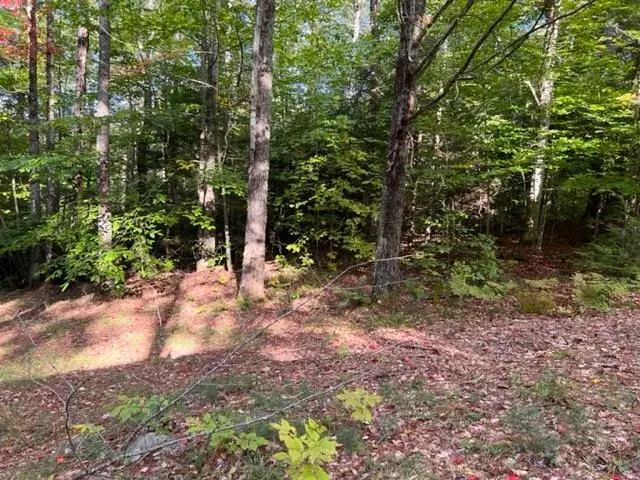 Lot 3 Briarcliff CIR, Campton, NH 03223