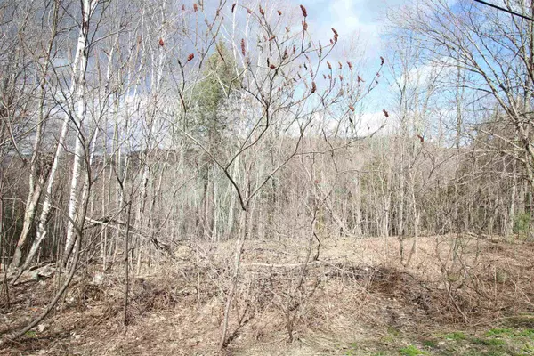 Barnard, VT 05031,00 West RD