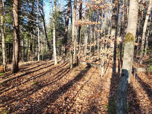 Alexandria, NH 03222,51 Matthews RD #6