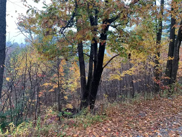 Warner, NH 03278,15-047-5 Couchtown RD