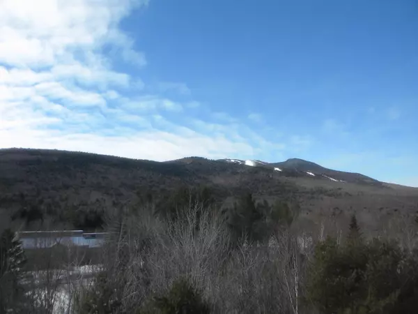 Waterville Valley, NH 03215,23 Black Bear RD #606