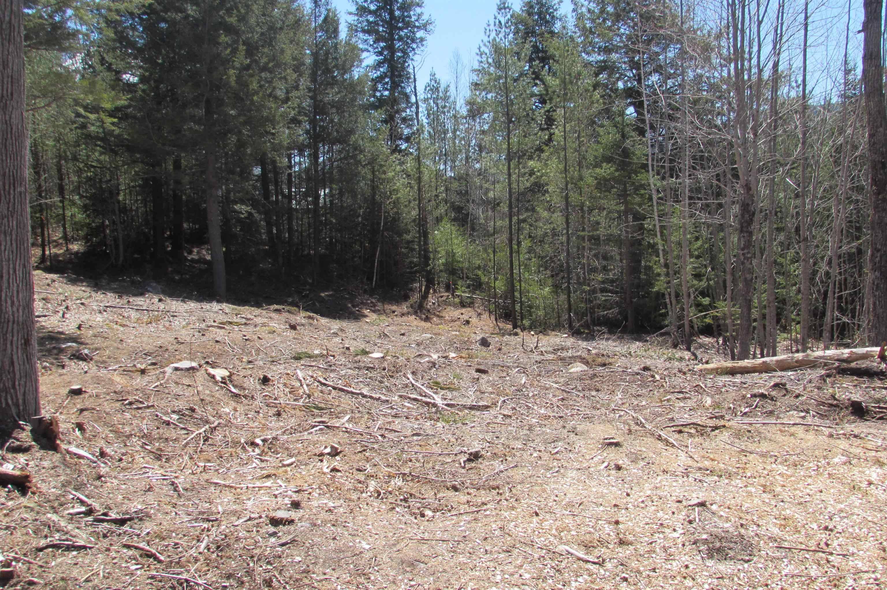 Bartlett, NH 03812,F9 Cave Mountsain RD