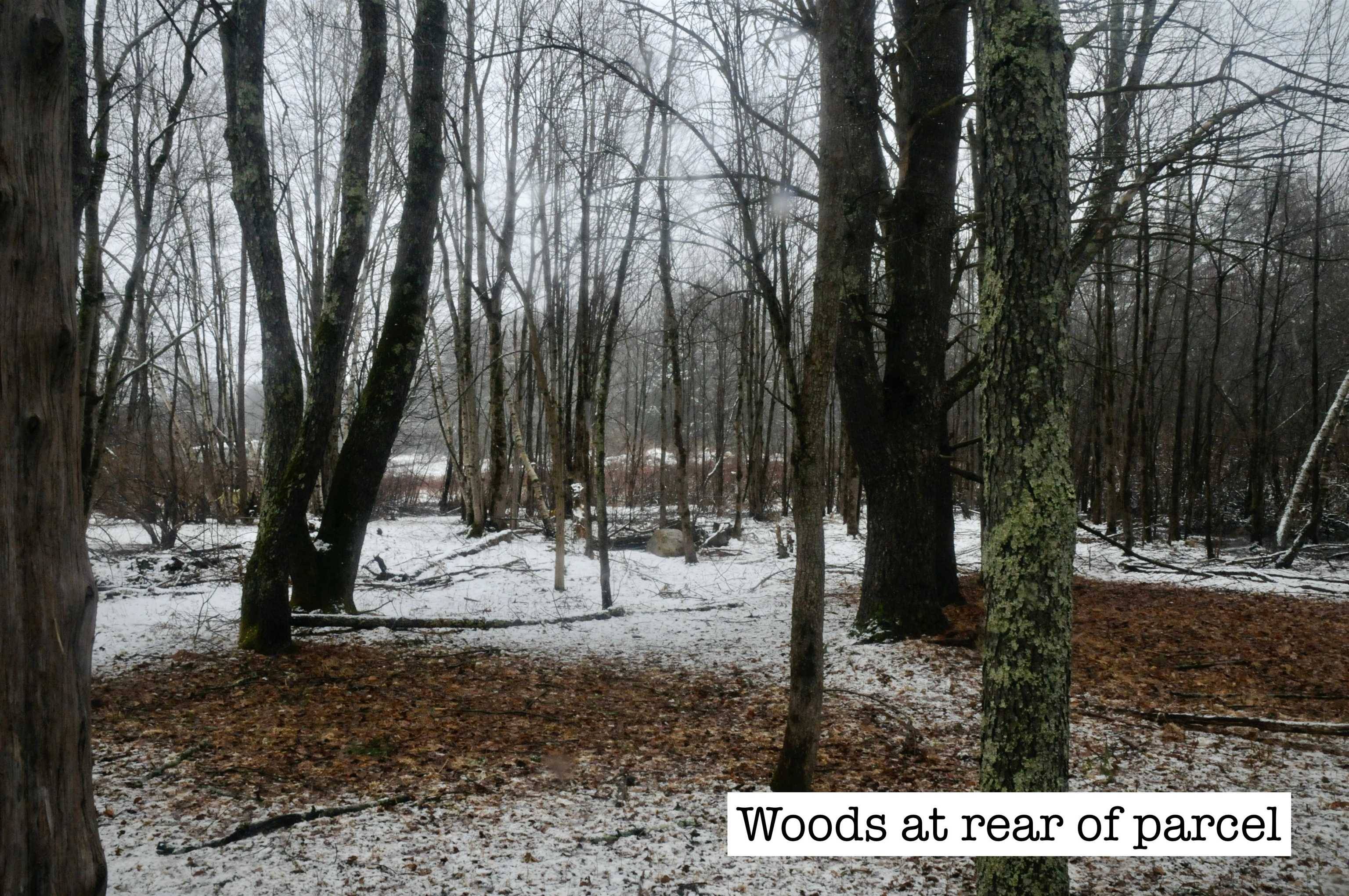 Brentwood, NH 03833,320 South RD